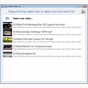 html 5 video disable fullscreen
